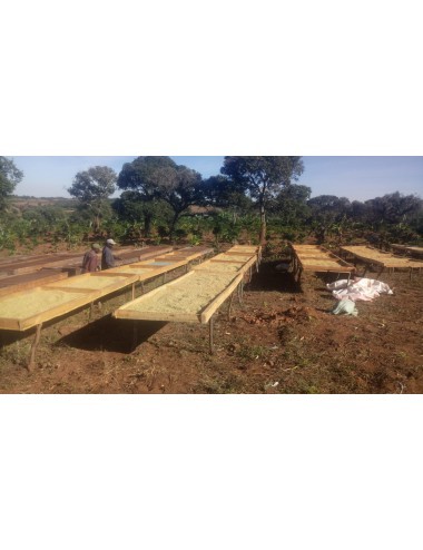 TANZANIA MBAYA, region...