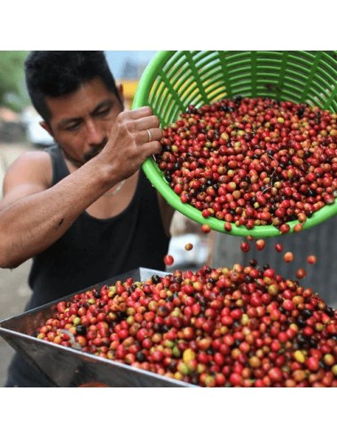 GUATEMALA - Zrnková káva 250g