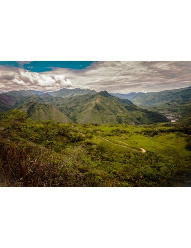 PERU  - Cajamarca, Zrnková...