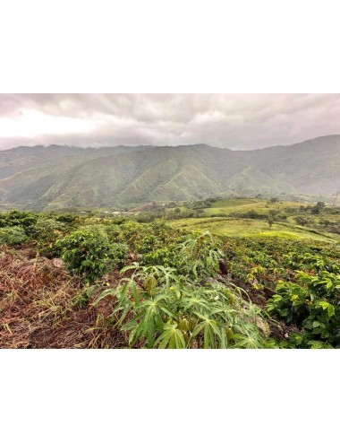 Venezuela Santa Cruz de...
