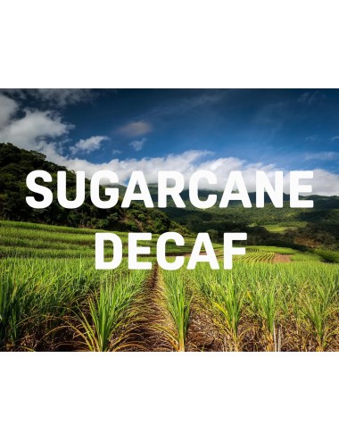 COLOMBIA SUGARCANE DECAF -...