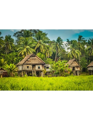 PAPUA - Zrnková káva 500g