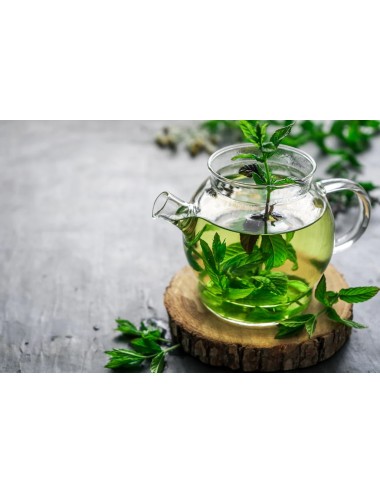 BIOGENA Traditional mint...