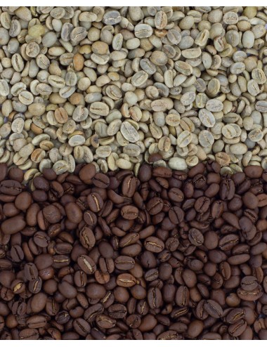 ARABICA 100 - Zrnková káva...