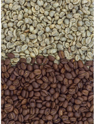 SUNRISE BLEND - Zrnková...
