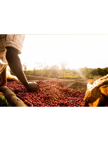 BURUNDI - BUTIHINDA -...