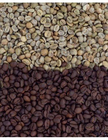 FORTE - Coffee beans 500g