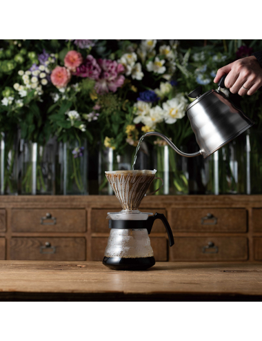 V60 SET + FILTERS for...